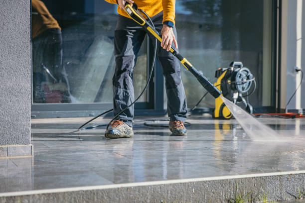 Animal Enclosure Cleaning in North Gates, NY